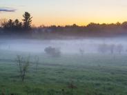 Oyster River Forest, Durham, NH: fog in open fields; photo credit: Jerry Monkm
