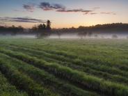 Oyster Riv Forest, Durham, NH: open fields; photo credit: Jerry Monkman@ecophoto