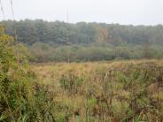 Oyster River Forest, Durham, NH: diverse habitat, October 2012