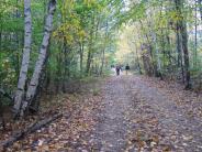 Oyster River Forest, Durham, NH: access road, October 2012