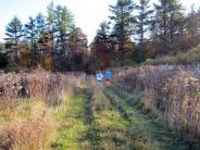 Oyster River Forest, Durham, NH: runners crossing the field
