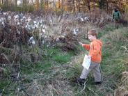 Oyster River Forest, Durham, NH