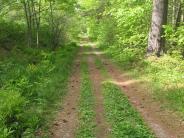 Doe Farm entrance trail