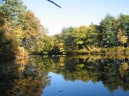 Lamprey River at Doe Farm