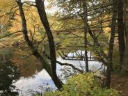 Lamprey River at Doe Farm