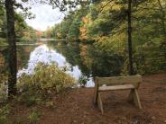 A Leopold bench offers a scenic spot overlooking the backwaters of the Lamprey River at Doe Farm