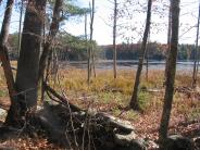 Langmaid Farm and Wetland