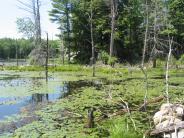 Colby Marsh