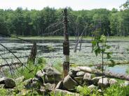 Colby Marsh