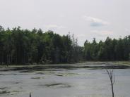 Colby Marsh