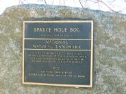 plaque Spruce Hole Bog, Durham, NH January 2014 (photo credit: Beryl Harper)