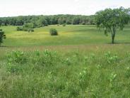 Wagon Hill Farm fields