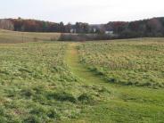 Wagon Hill Farm fields