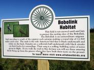Bobolink habitat sign Wagon Hill Farm, Durham, NH