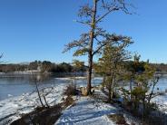 Viewpoint on Smith Creek, Wagon Hill Farm, Durham, NH - January 2025