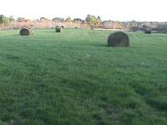 Farmlands in Durham have been a focus of land conservation by the town.