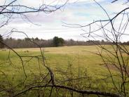 Conserved Farmlands off Mill Road, Durham