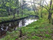 Sprucewood Forest/ Oyster River Durham, NH; photo credit Jerry Monkman