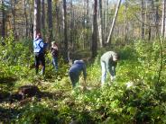 Invasive Workday, Doe Farm - October 2011