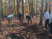 creating a new trail