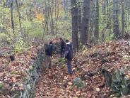 oyster river forest volunteers