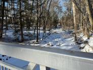 Oyster River from Kenny Rotner Bridge, Stevens Woods, February 2025 (Photo credit: Veronique Ludington)