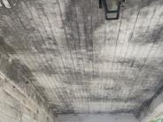 South Facing Porch - Mold growth and warping due to past water infiltration. The entire porch will be restored.