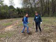 Local volunteers help plant native shrubs at Thompson Forest