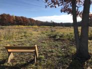 A Leopold bench built by the Community Church of Durham at a scenic outlook on Thompson Forest