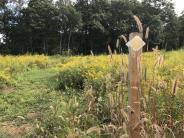 A trail sign post installed at Thompson Forest by Eagle Scout Drew Hilyard