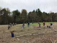 Liberty Mutual employees plant thousands of native shrubs at Thompson Forest