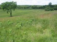 Fields at Wagon Hill Farm