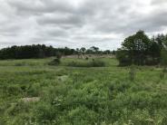 Portion of the 60-acre field at Oyster River Forest