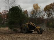 Clearing trees to create 15-acre field at Thompson Forest