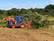 Forest Savers clearing invasive shrubs from Oyster River Forest
