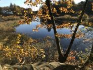 View of Mill Pond