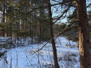 Winter View of Oyster River from Milne Sanctuary, February 2025 (Photo credit: Veronique Ludington)