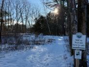 Winter View of Milne Sanctuary, January 2025 (Photo credit: Veronique Ludington)
