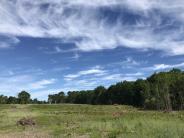 Big sky at Thompson Forest