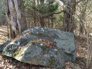 Large boulder at Thompson Forest