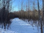 Loop Trail, Thompson Forest, February 2025 (Photo credit: Veronique Ludington)