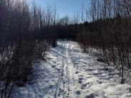 Loop Trail, Thompson Forest, February 2025 (Photo credit: Veronique Ludington)