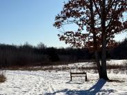 Bench overlooking meadow at Thompson Forest (Phot credit: Veronique Ludington)