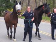 Off. Malasky and Off. Donley escorting horses