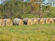 Hay bales on Mast Road in Durham