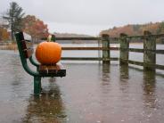 King tide at old landing