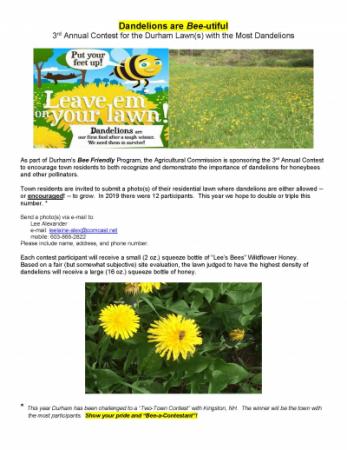 Dandelions are Bee-utiful