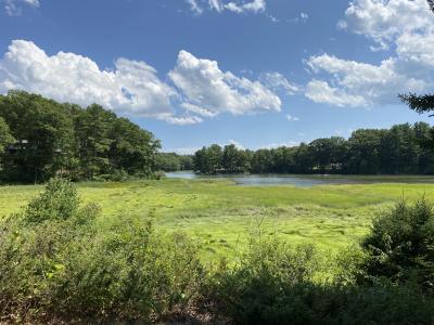 View of Oyster River from Jackson's Landing