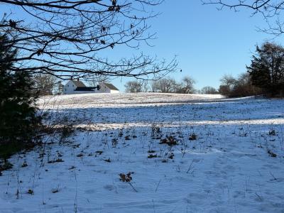 Field at Wagon Hill Farm, January 2025 (Photo credit: Veronique Ludington)