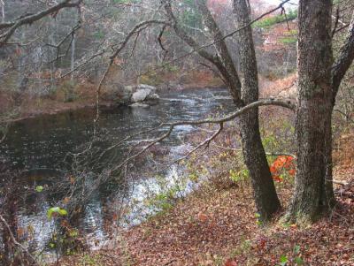 Weeks Lot along the Lamprey River